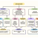 Бразилия: главные темы и новости