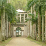 Экзотический сад Бразилии