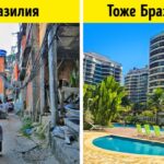 Новости о культурной жизни в Бразилии