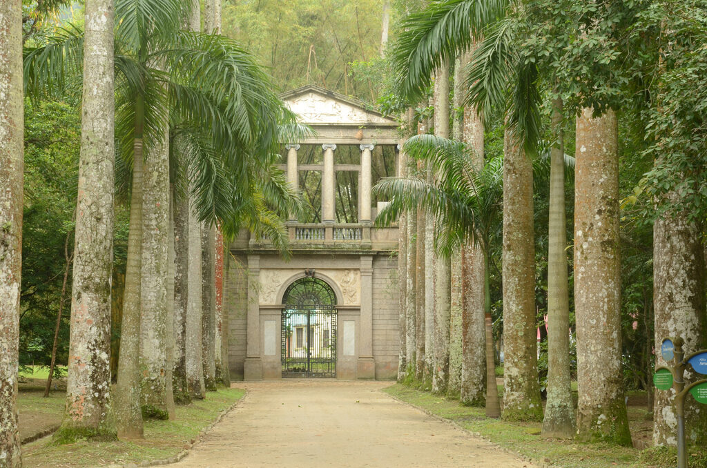 Фото 24 — Экзотический сад Бразилии