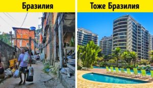 Новости о культурной жизни в Бразилии